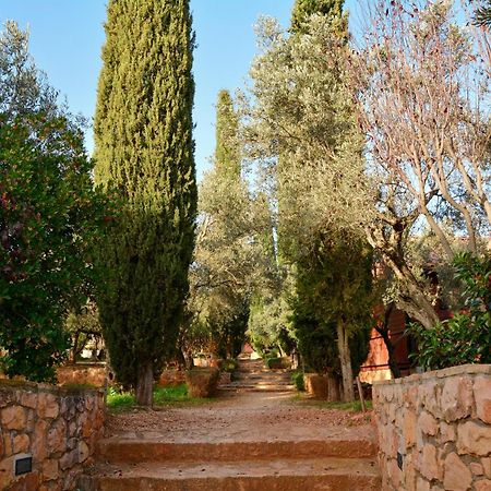 Camping Alquézar Екстериор снимка