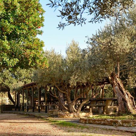 Camping Alquézar Екстериор снимка
