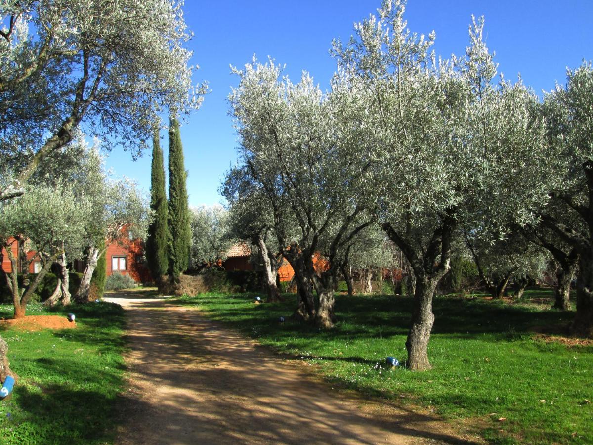 Camping Alquézar Екстериор снимка