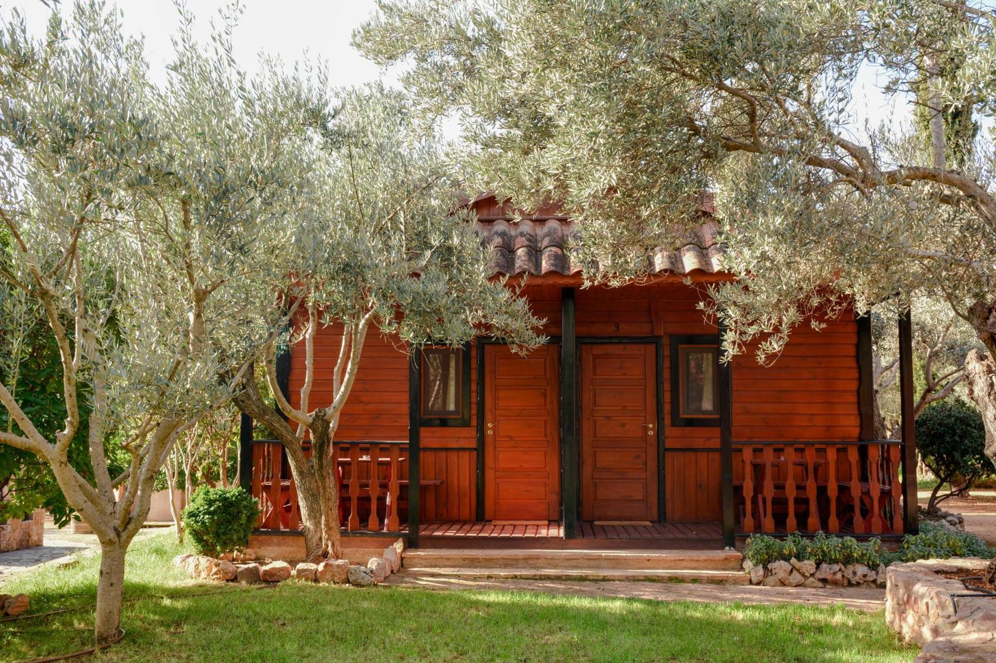 Camping Alquézar Екстериор снимка