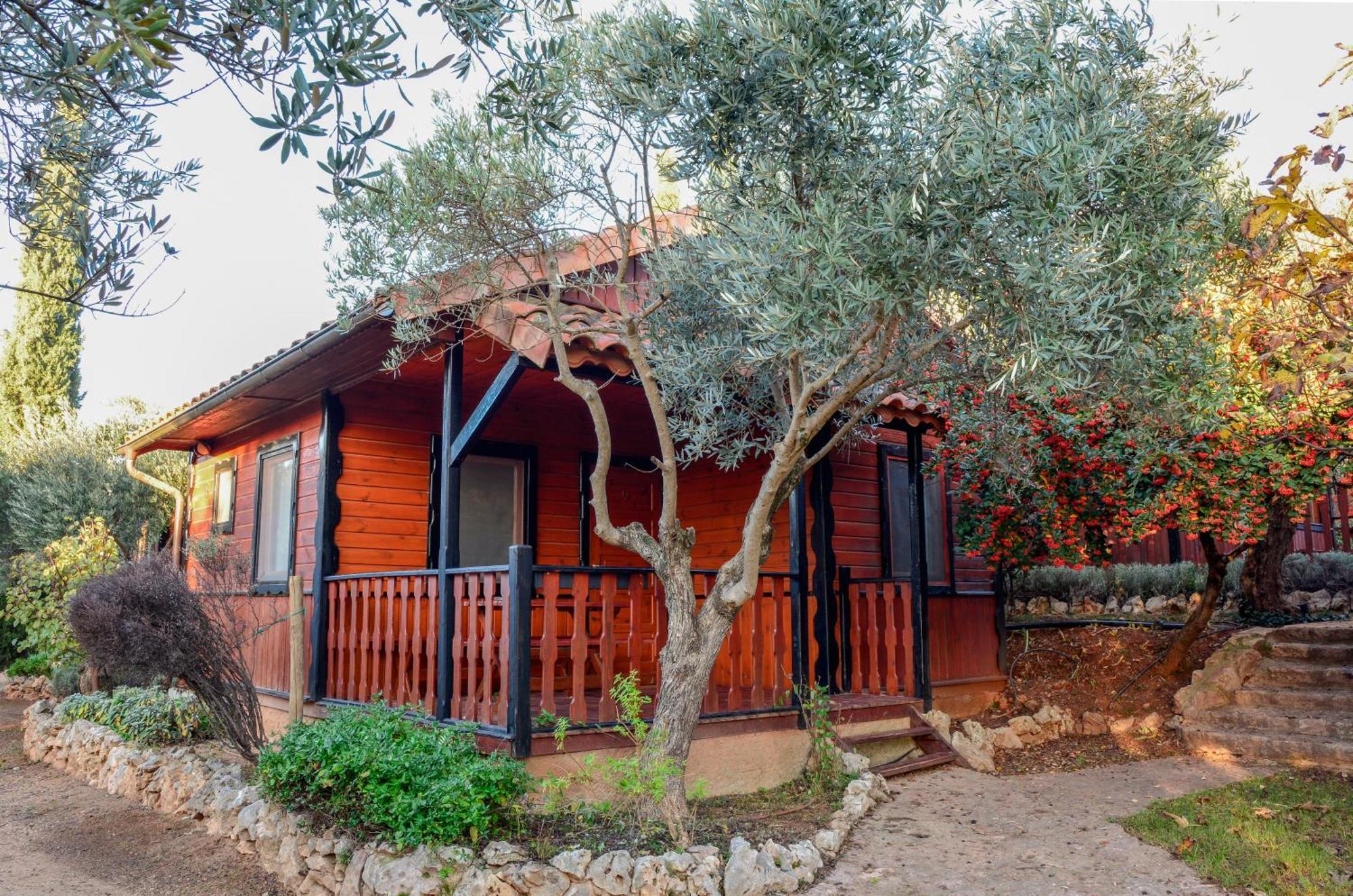 Camping Alquézar Екстериор снимка