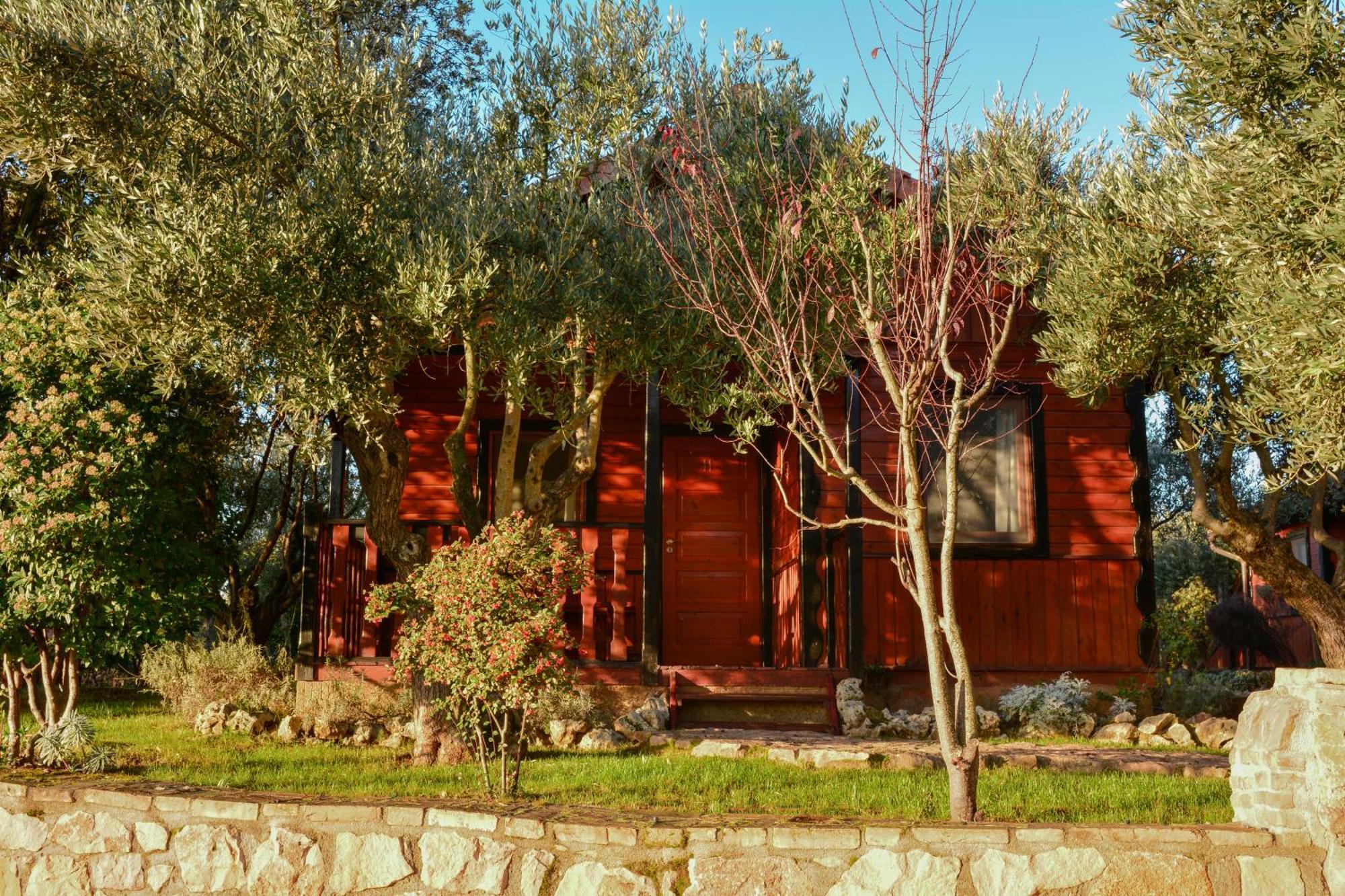 Camping Alquézar Екстериор снимка